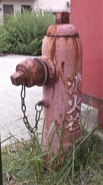 ���⒬���̏��ΐ�