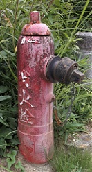 ���⒬���̏��ΐ�