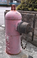 ���⒬���̏��ΐ�