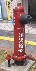 �B��s���̏��ΐ�