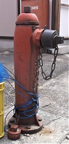 �B��s���̏��ΐ�