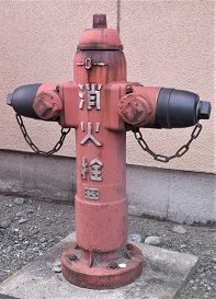 �B��s���̏��ΐ�