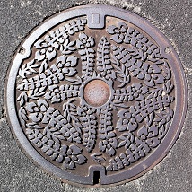 �L���s�}���z�[��