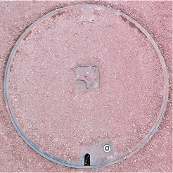 �R���s�}���z�[��