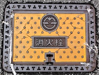 �R���s���ΐ�