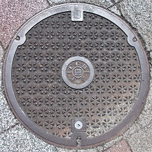 ���Ɍ������a