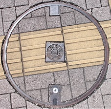 ���Ɍ������a