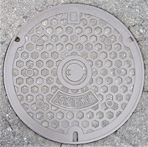 �ޗǌ����扺�����}���z�[��