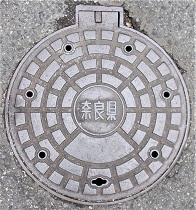 �ޗǌ��}���z�[��