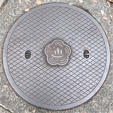 �M�C�s�}���z�[��