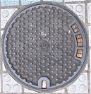 �M�C�s�}���z�[��