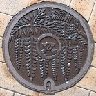 ����s�}���z�[��