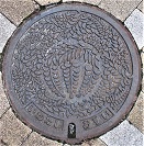 �֓c�s�}���z�[��