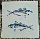 ���c���s����