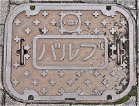 �����K�X�o���u