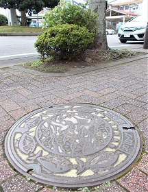 �ĒÎs�}���z�[��