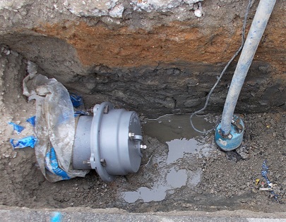 �����s�����ǐV�ݍH��