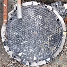 ���{�s�}���z�[��