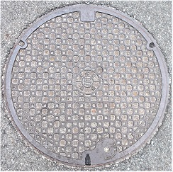 ���Ɍ������a