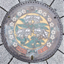 �쐼�s�}���z�[��