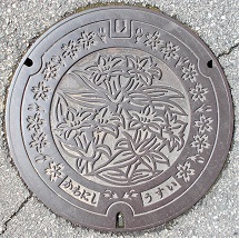 �쐼�s�}���z�[��