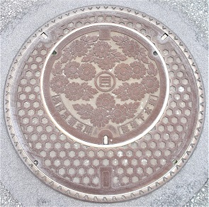 ���Ɍ������� ���扺�����}���z�[��