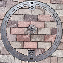 ���Ɍ������a