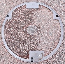 ���Ɍ������a