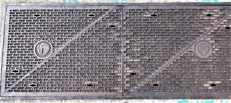 �쐼�s�}���z�[��