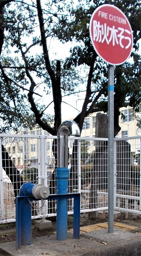 �]��s���̏��ΐ�