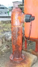 ���������̏��ΐ�