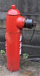 ���������̏��ΐ�