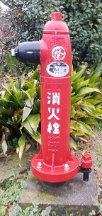 ��Z�����̏��ΐ�