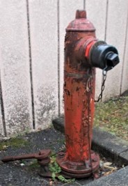 ��Z�����̏��ΐ�