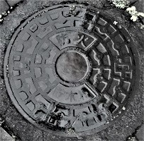 �{�V���h�ΐ���