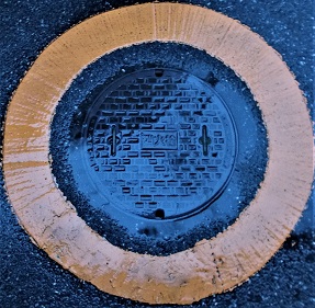 �{�V�����ΐ�