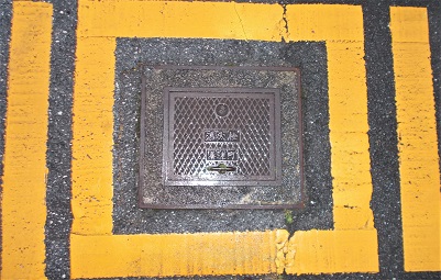 �{�V�����ΐ�