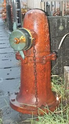 �{�V�����̏��ΐ�