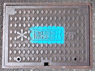 �_�ˎs�L�^�v