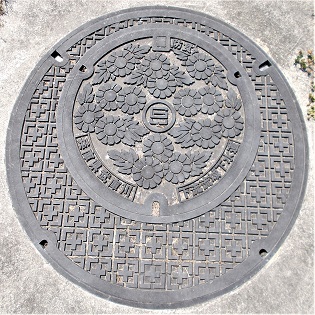 ���Ɍ����ɐ� ��������}���z�[��