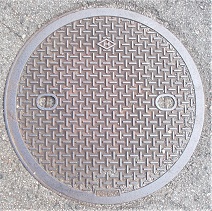 ���{�s�}���z�[��