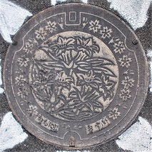 �쐼�s�}���z�[��