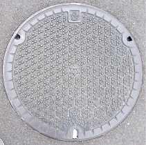 ���{�s�}���z�[��