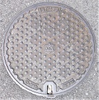 ���{�s�}���z�[��