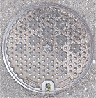 ���{�s�}���z�[��