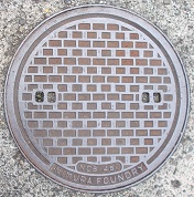 ���{�s�}���z�[��