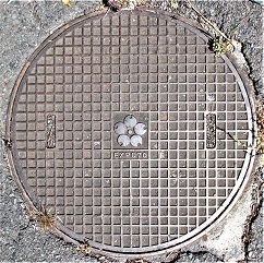 ���{����������}���z�[��