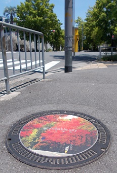 ���c�s�}���z�[��