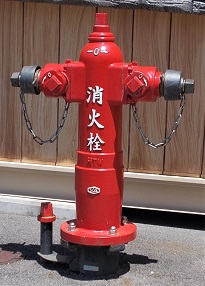 ���c�s���̏��ΐ�