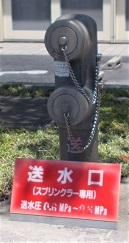 ���c�s������